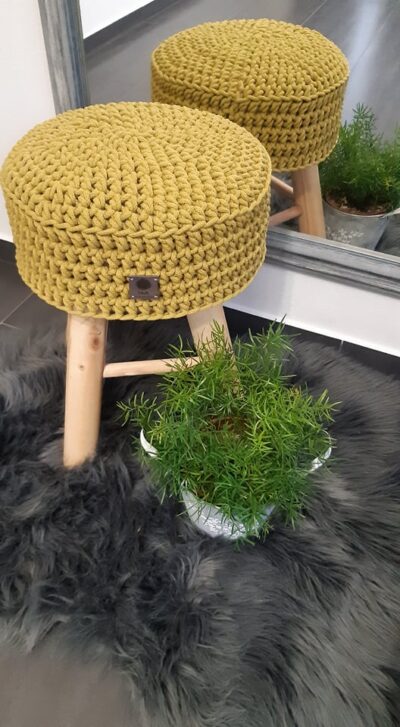 Stolicka kiwi